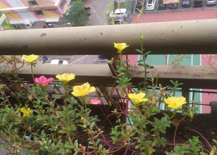 Tiny Studio With Pool, Jogging Track, Gym And Mall